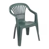 STOLICA SCILLA - Slika 2