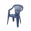 STOLICA SCILLA - Slika 3